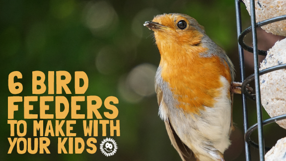 bird feeders to make with kids