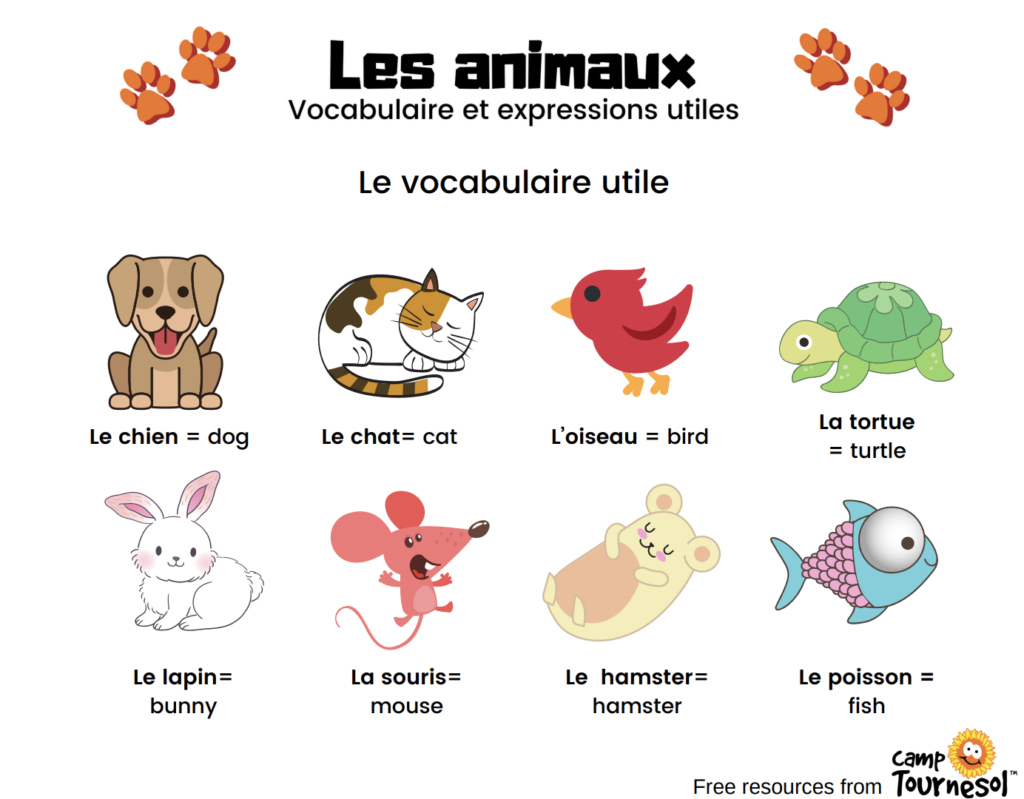 Image from inside les animaux workbook